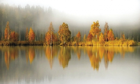 ����� �������